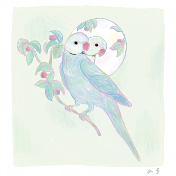 ワカケホンセイインコ