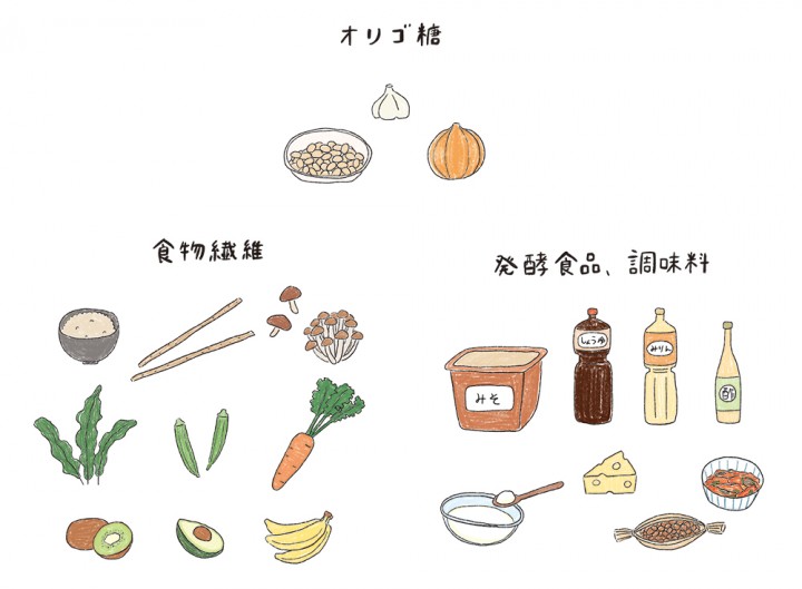 腸活のカットイラスト