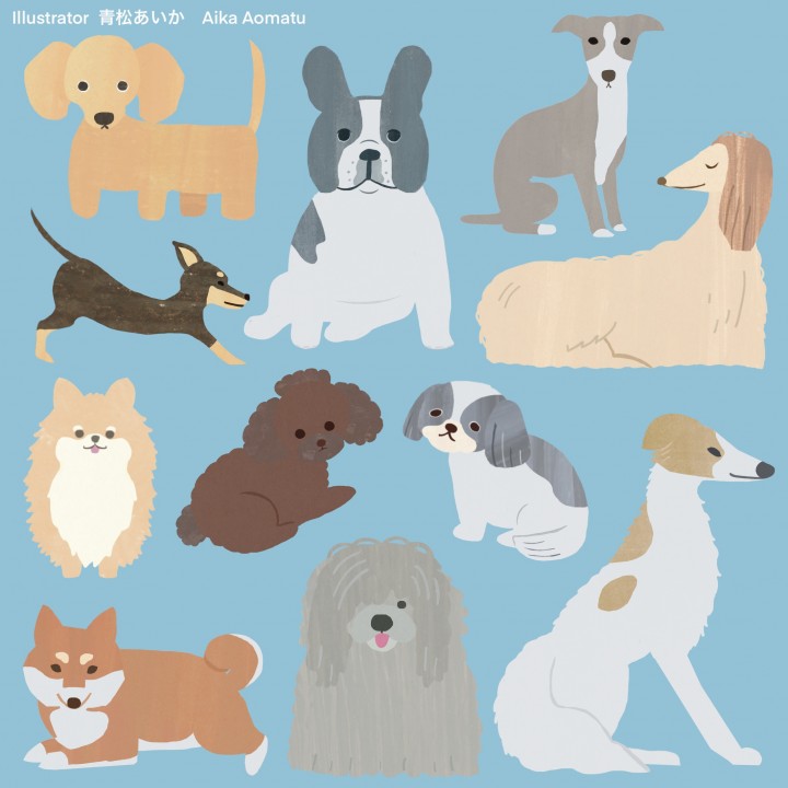 犬のイラスト　11犬種