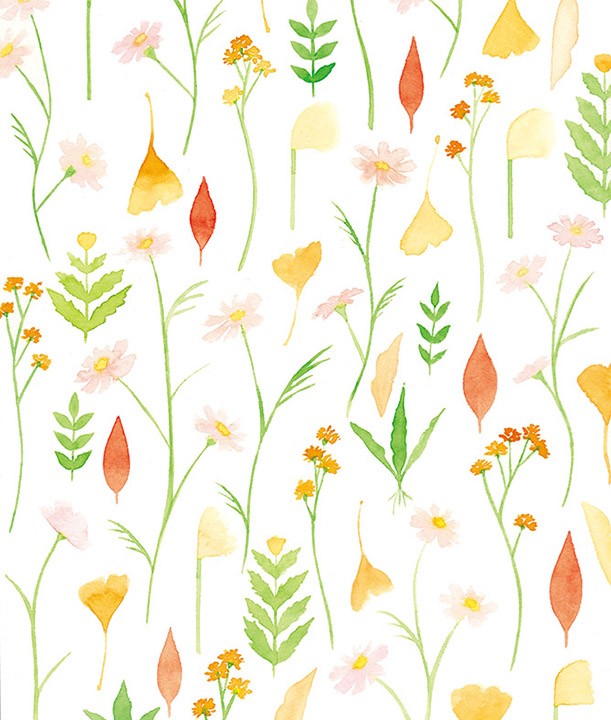 秋の草花