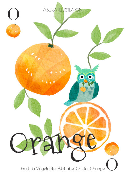 オレンジとフクロウのイラスト