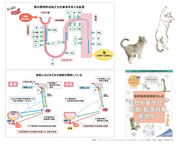 〈実績〉看護雑誌「ブレインナーシング5号」表紙・挿絵