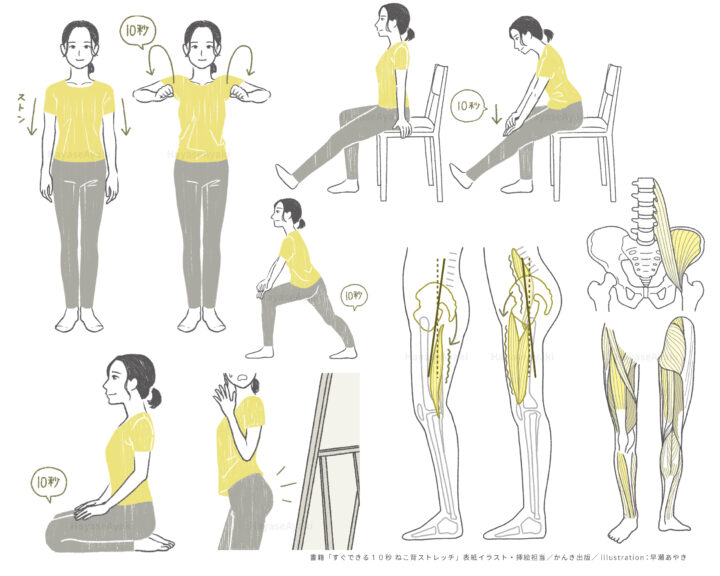 健康　ヘルスケア　ねこ背　姿勢　ストレッチ　運動　骨　筋肉　女性　実用　挿絵　カバーイラスト