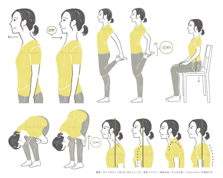 健康　ヘルスケア　ねこ背　姿勢　ストレッチ　運動　骨　筋肉　女性　実用　挿絵　カバーイラスト