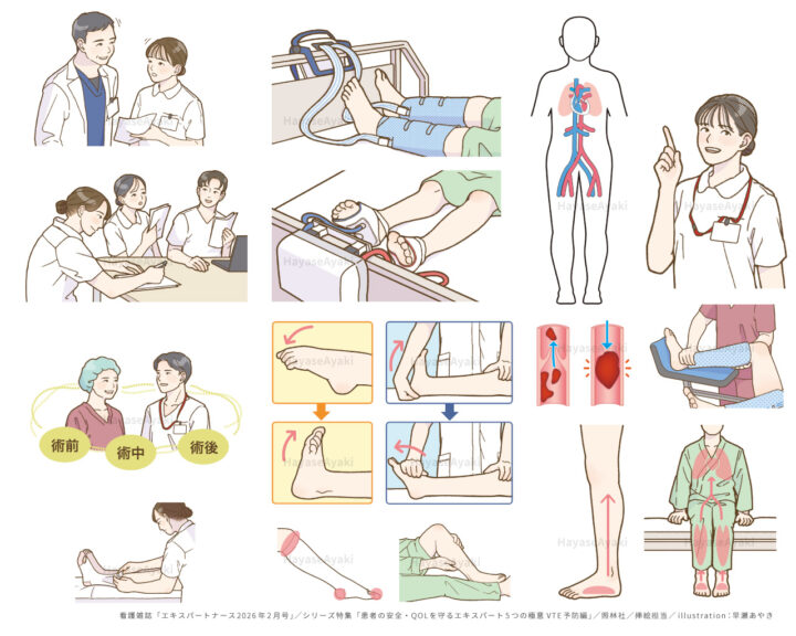 〈挿絵〉看護雑誌「エキスパートナース2026年2月号」