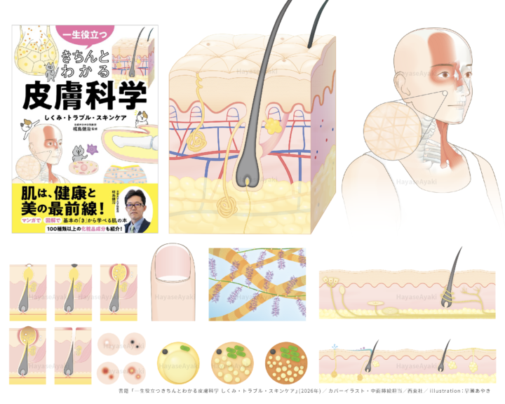 〈カバーイラスト・挿絵〉書籍「きちんとわかる皮膚科学 しくみ・トラブル・スキンケア」