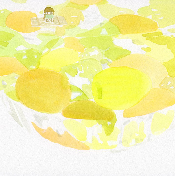 梅と氷砂糖キラキラ