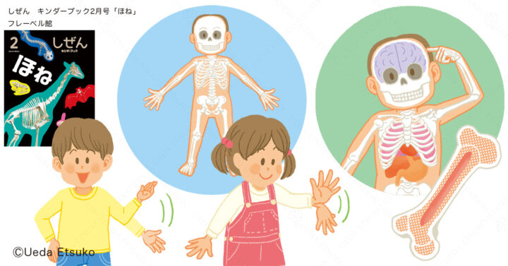 しぜん２月号「ほね」