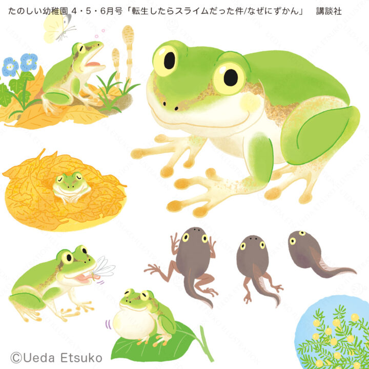 たのしい幼稚園4.5.6月号