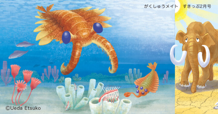 すきっぷ　２月号