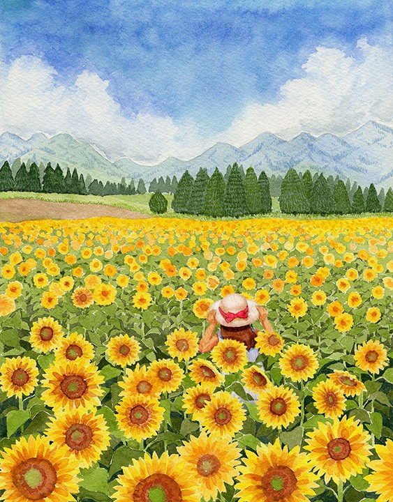 ひまわり畑