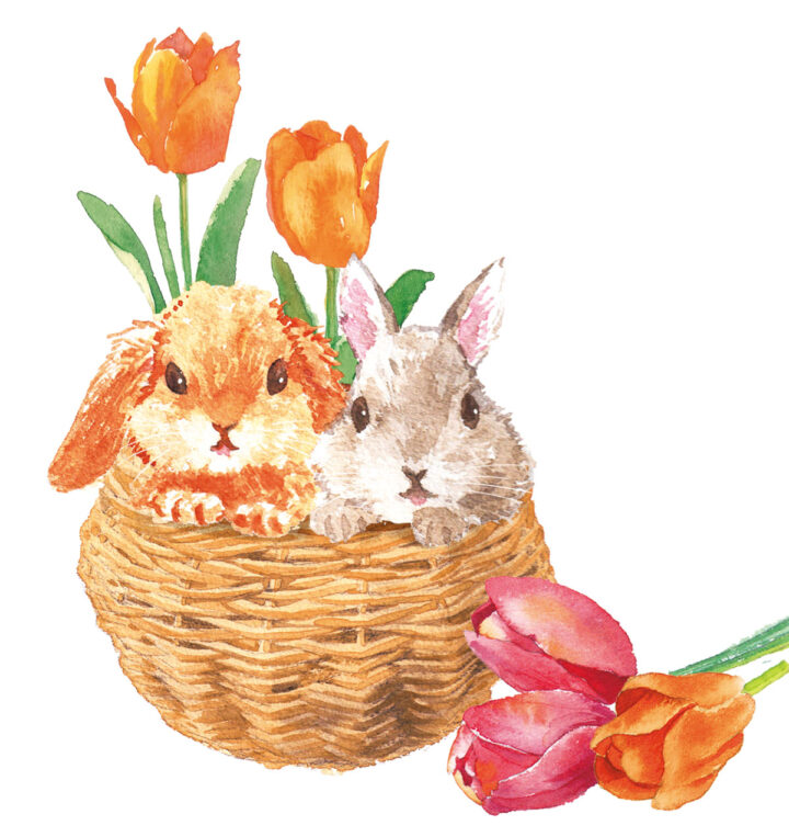 バスケットに入ったうさぎとチューリップ