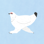 モトムラアヤコ