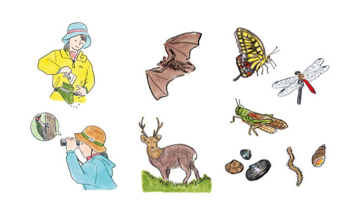 【挿絵】地域環境計画ブランドブック「未来を拓くネイチャーポジティブ・アクション 自然と社会をつなげる仕事」