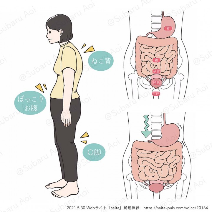 (株)インタースペース様「saita」骨盤腸整 挿絵