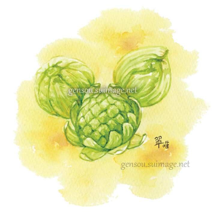 料理・食材イラスト｜フキノトウ味噌・蕗のとう（春の食材・雑誌挿絵／水彩）