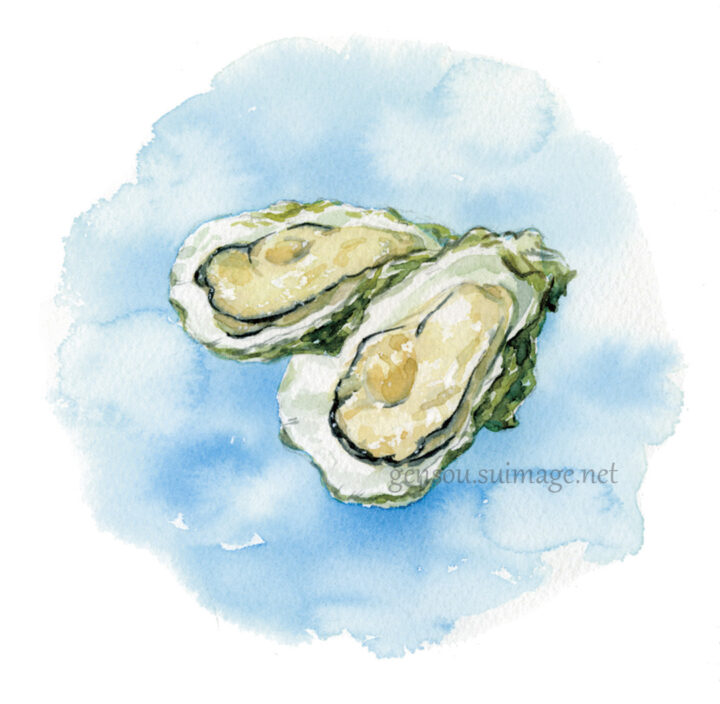 料理・食材イラスト｜牡蠣のしぐれ煮（冬の食材・雑誌挿絵／水彩）