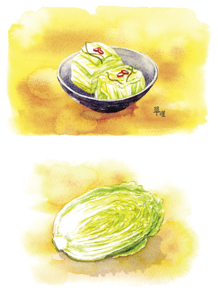 「食べもの通信」12月号「ハクサイの漬けもの」挿絵制作