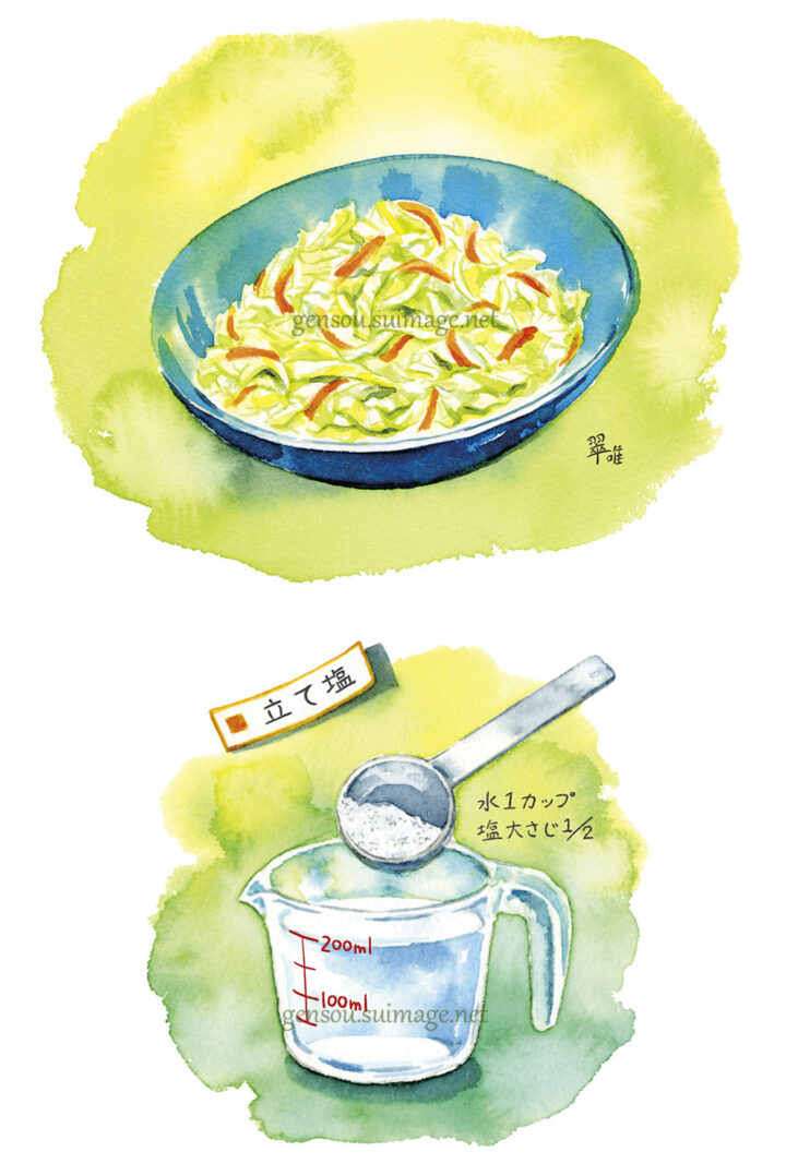 「食べもの通信」5月号「コールスローサラダ」挿絵制作