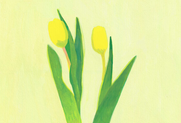 黄色いチューリップ