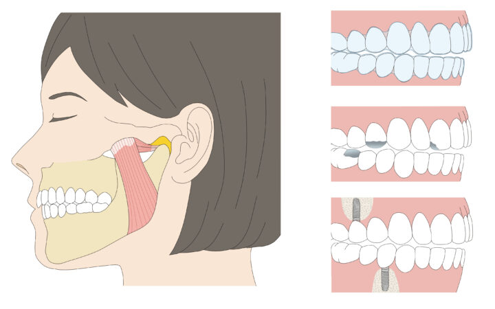 EDITORS『世田谷ライフmagazine』挿絵