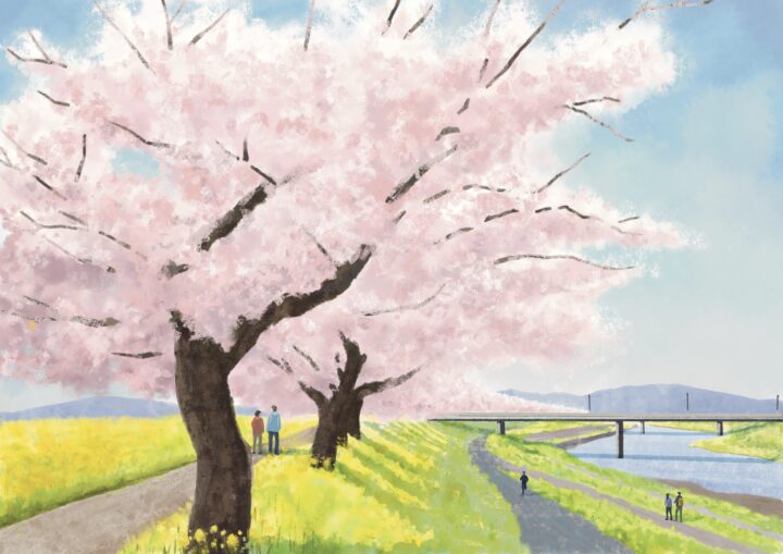 大洋図書『草花逍遥 四季のめぐり 街と野山の植物図誌』四季のイラスト