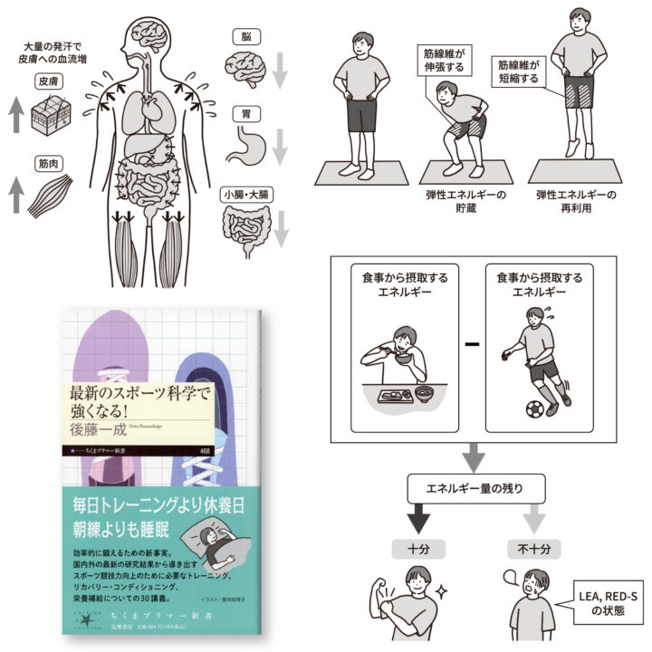 ちくまプリマー新書『最新のスポーツ科学で強くなる！』イラスト図版