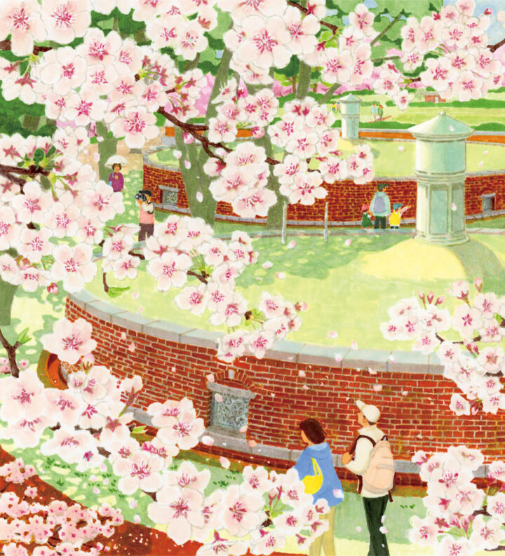 タカシマヤ友の会会報誌『Humming time』3・4月号「街々折々花ごよみ」挿絵