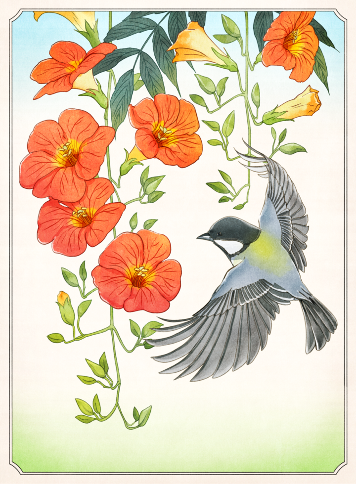 花鳥の浮世絵風イラスト