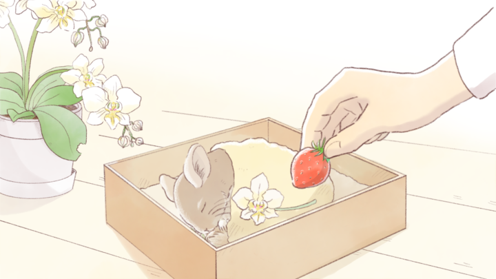 《お仕事報告》YouTube公開動画のイラストを制作しました