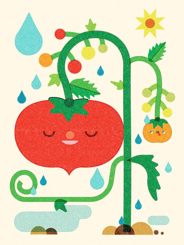 ≪キッズ≫tomato