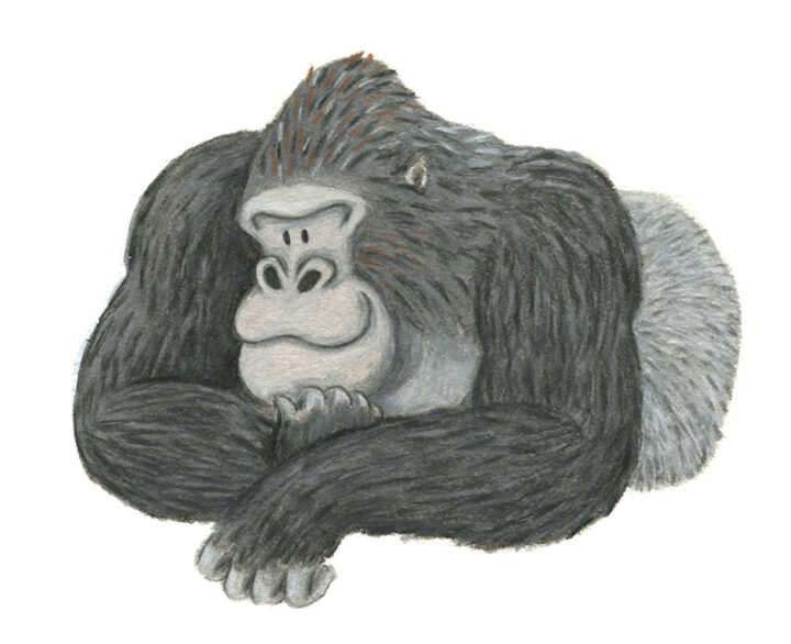 色鉛筆を使って手描きで描かれた動物のイラスト。ゴリラが座って前を向いている。優しい雰囲気で、絵本のようなイラスト