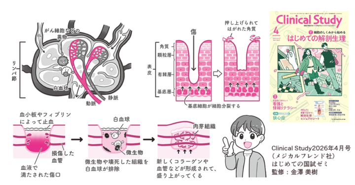 【お仕事情報】Clinical Study（クリニカルスタディ）2026年4月号　書籍内カットイラスト作成