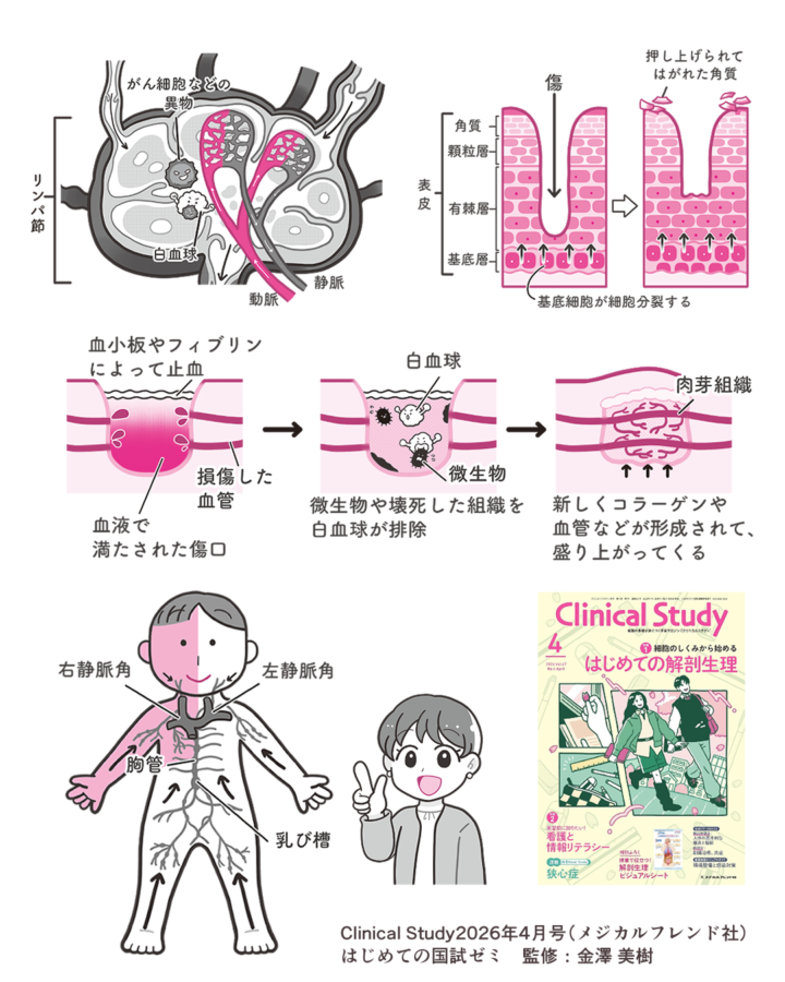kokushizemi hp gokakuninyou