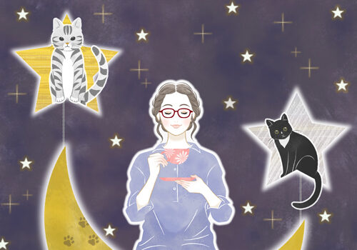 猫社会と私の関係