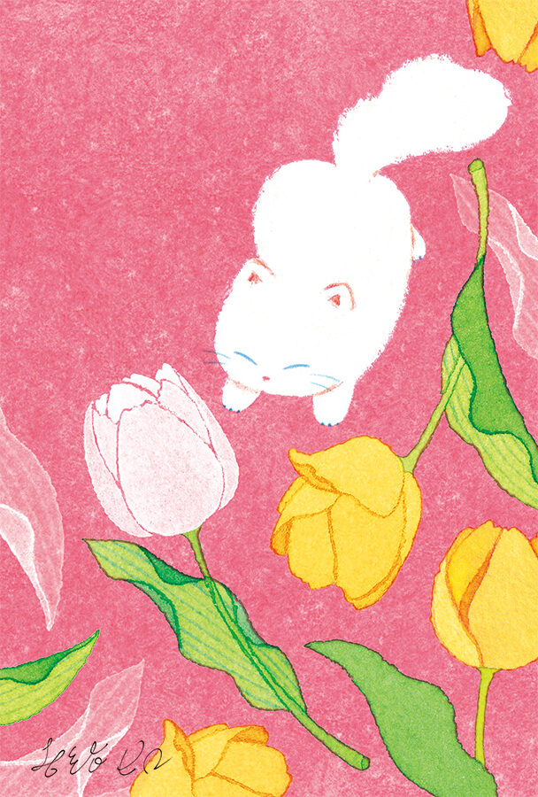 ネコとチューリップ