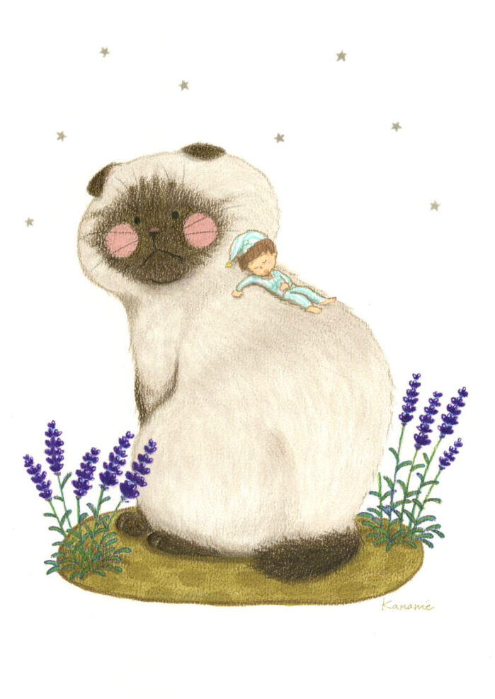 猫の背でおやすみなさい