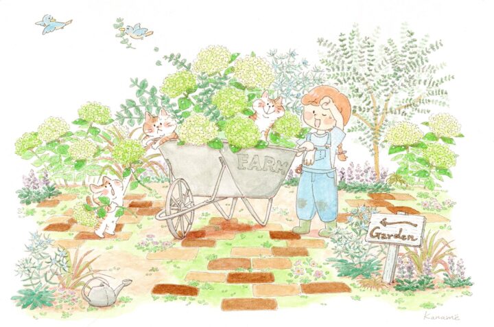 アナベルガーデン