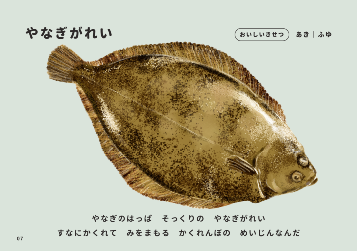 Original:ふくしま常磐もの図鑑えほん「じょうばんものいただきます」の中から、『カレイ(ヤナギガレイ)』。
