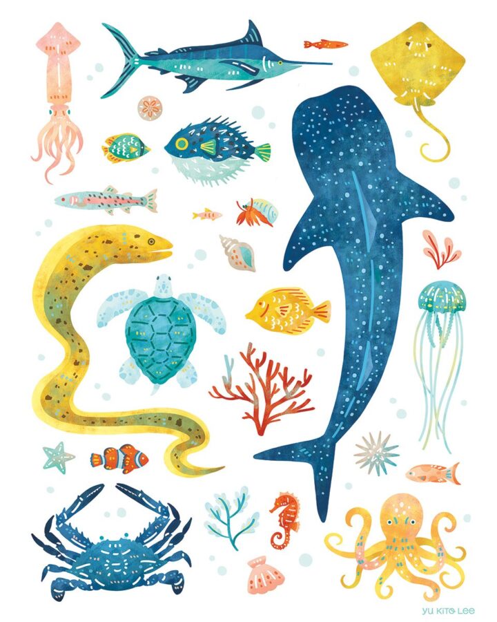 海のいきもの