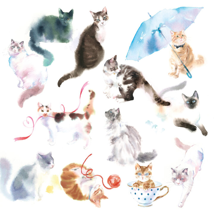 動物イラストをアップしました