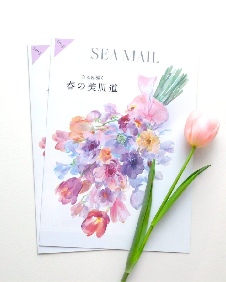 MIKIMOTO COSMETICS会報誌SEA MAIL 2026 vol.3