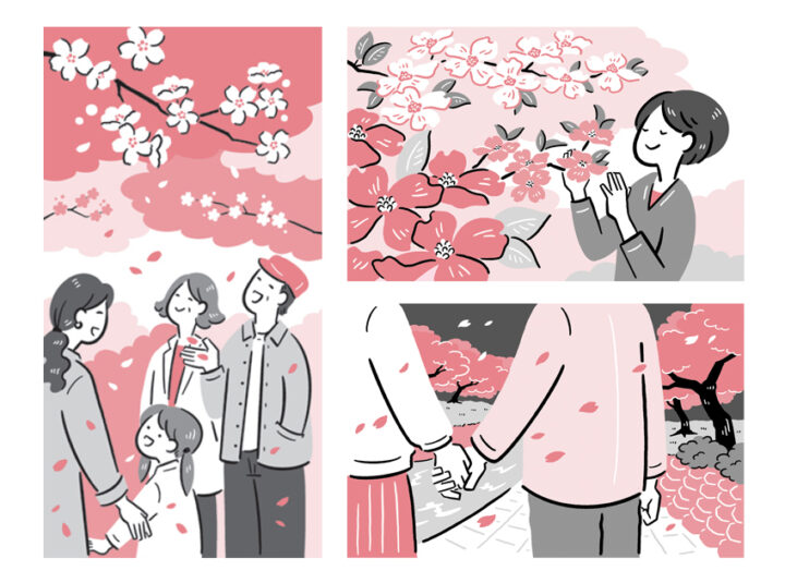 家庭画報2月号「読者のひろば」挿絵を追加しました