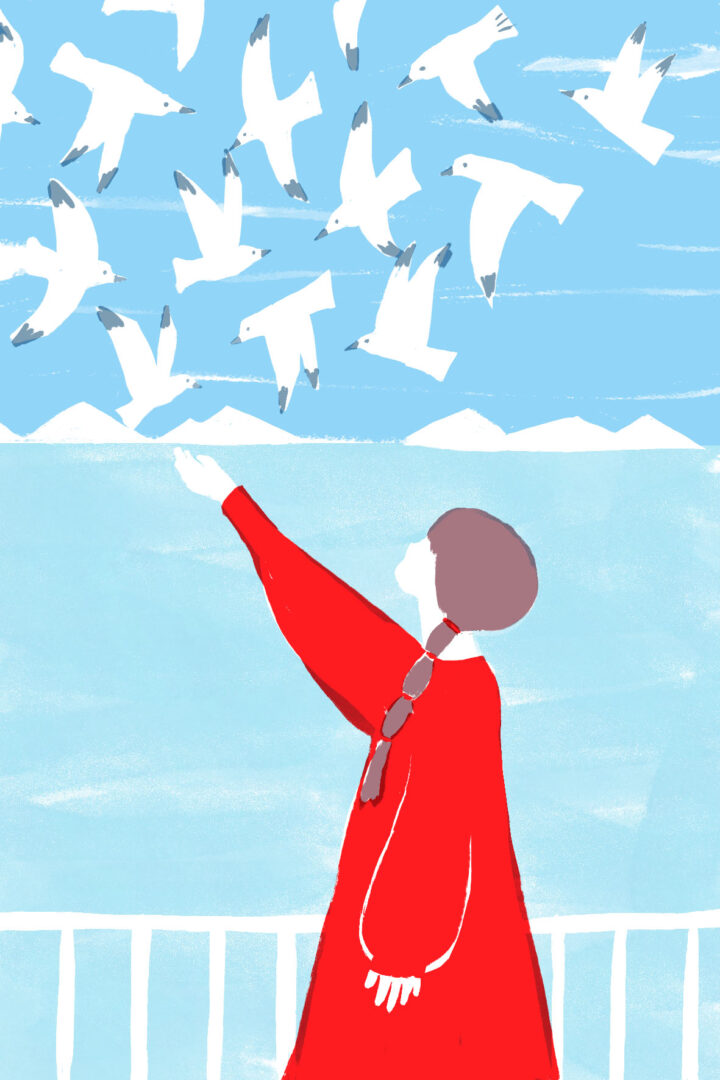 カモメの餌やり