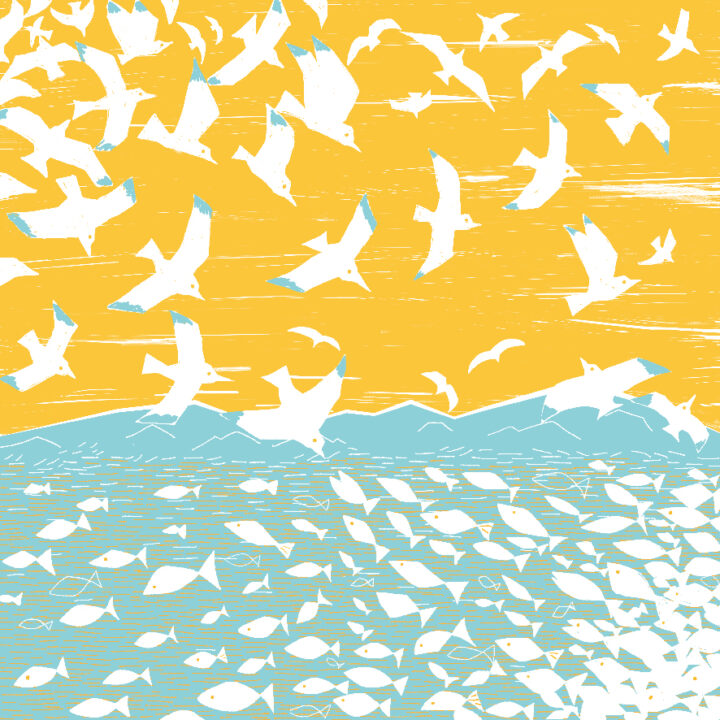 カモメvsサカナ