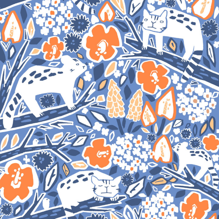 イリオモテヤマネコ