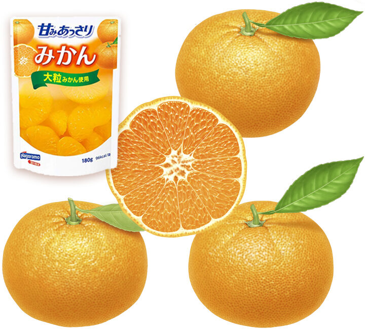 はごろもフーズ　”みかん”「甘みあっさりパウチ」シリーズ