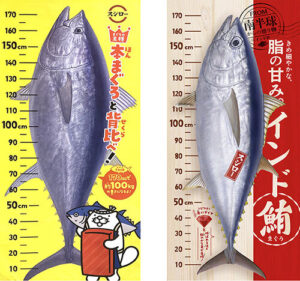 マグロと背比べポスター