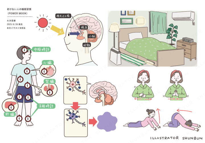 睡眠習慣のイラスト