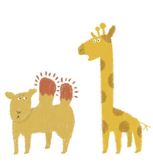 動物・生活シーン